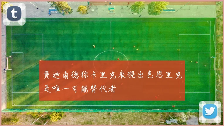 费迪南德称卡里克表现出色恩里克是唯一可能替代者